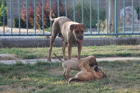 Mias Mama + Geschwister