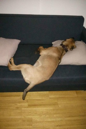 Gefäääährlich...gleich wirds runterfallen -