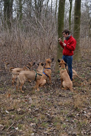 Max der Hundeflüsterer ;)