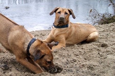 Hihi :) Sand macht Spaß!