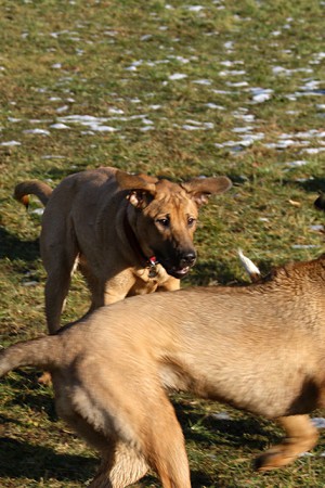 "Gleich pack ich dich!" :)