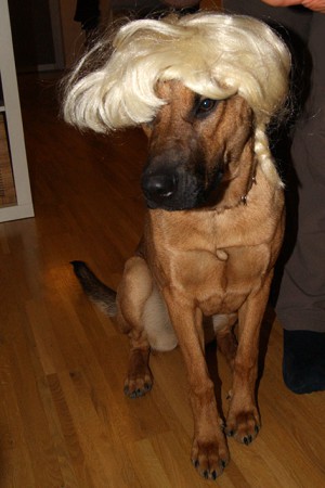 ... sieht doch schick aus, oder? ;) 