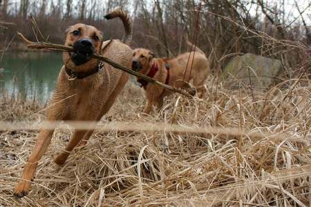 Wo sind bloß Mia´s Ohren???